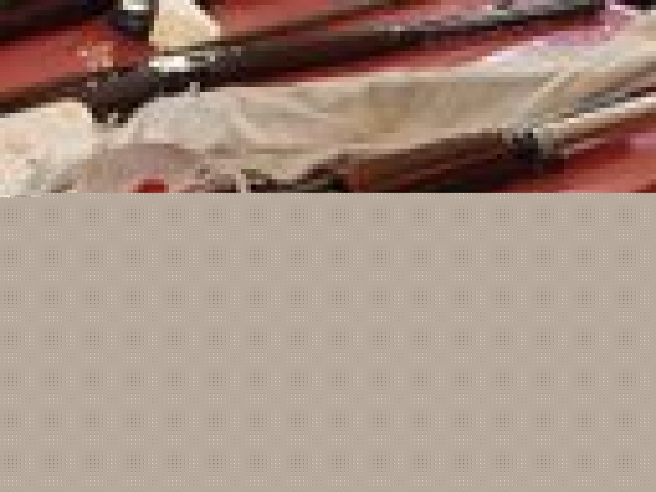 D&eacute;couverte d&rsquo;un arsenal chez un ancien militaire de l&rsquo;Ain