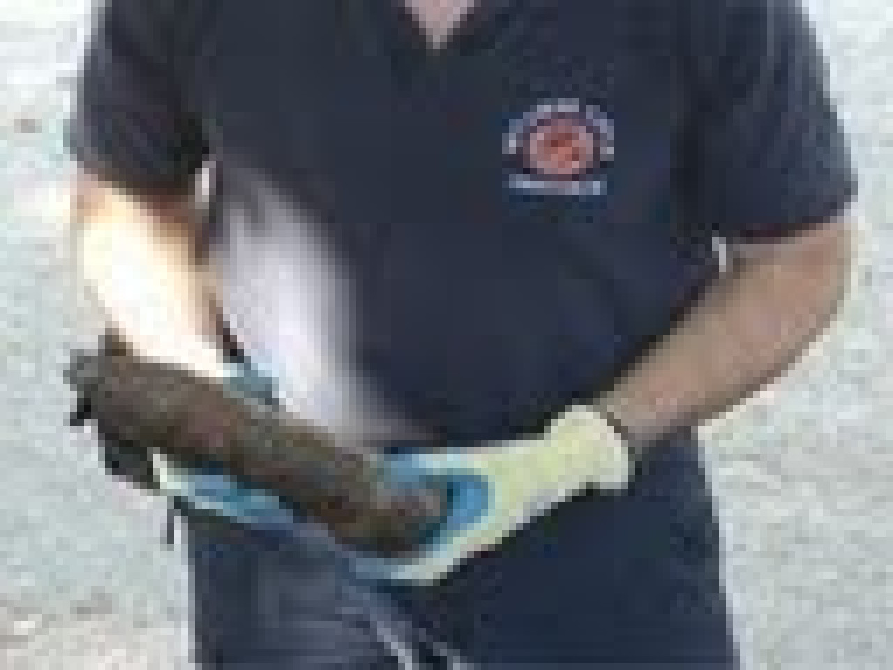 Déminage d’une bombe US à Chasse -sur-Rhône Déminage d’une bombe US à Chasse -sur-Rhône