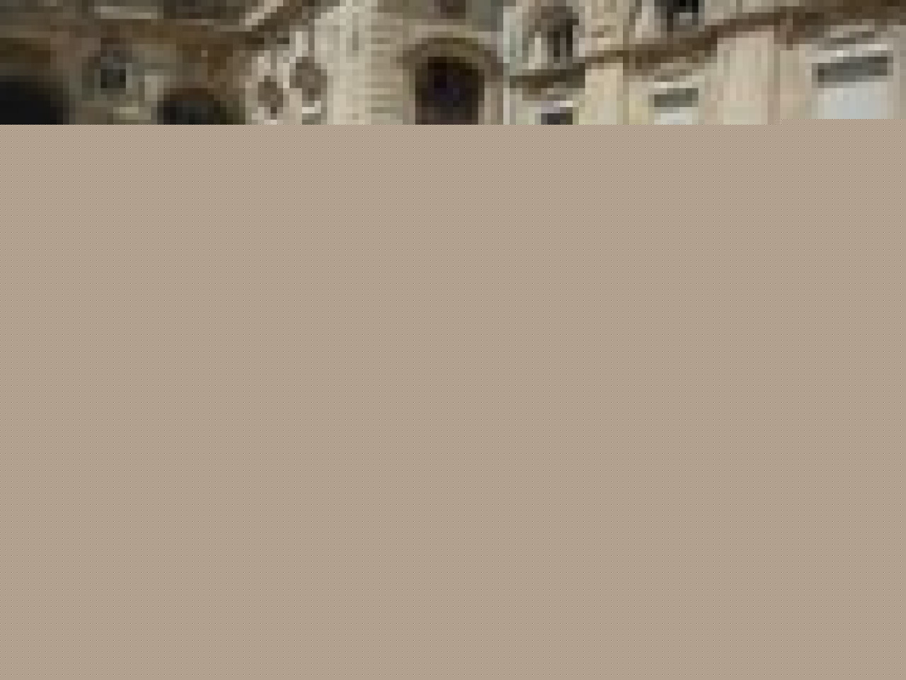 Des lions et des ours aux enchères ce soir Des lions et des ours aux enchères ce soir