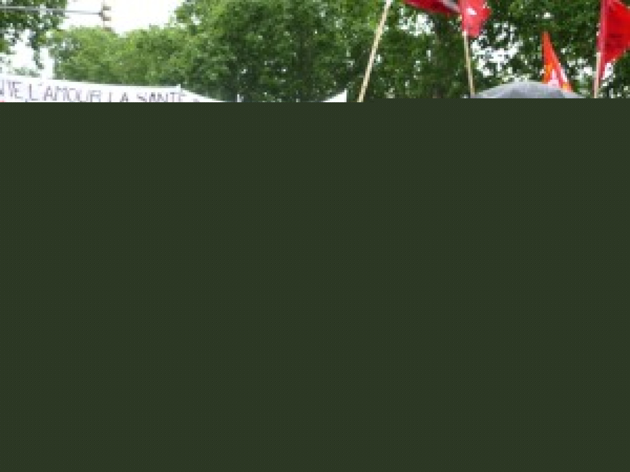 Deux cort&egrave;ges dans les rues de Lyon jeudi