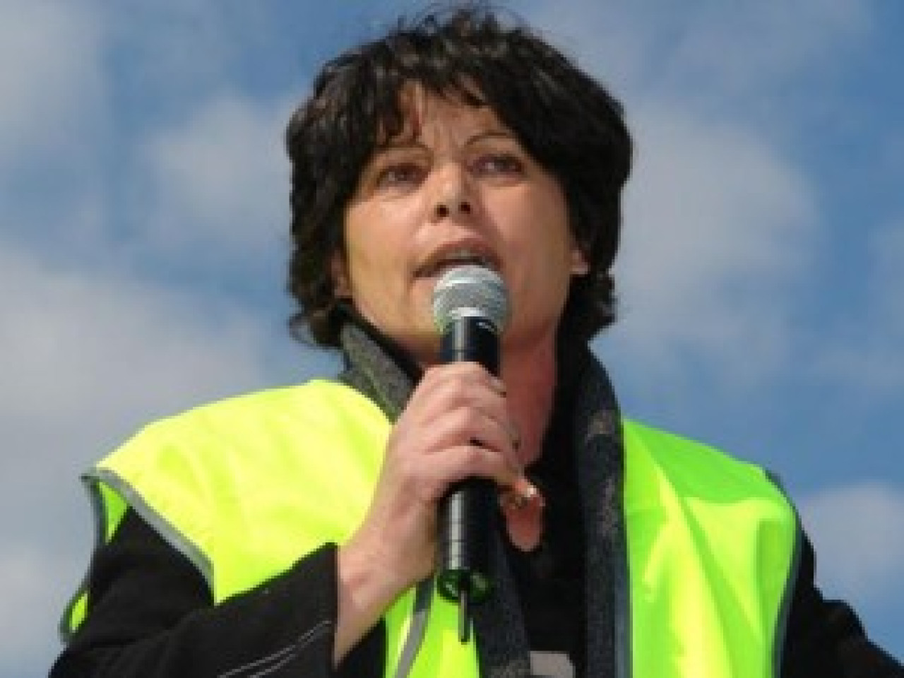 Elections Européennes : le PS recule au profit des Verts à Lyon Elections Européennes : le PS recule au profit des Verts à Lyon