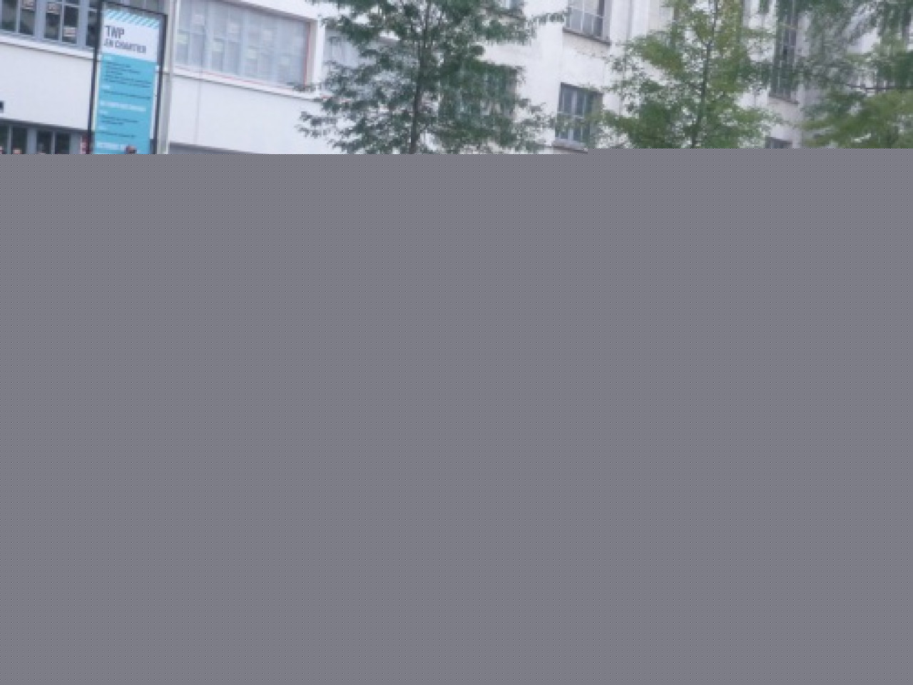 Grand défilé de danse à Lyon Grand défilé de danse à Lyon