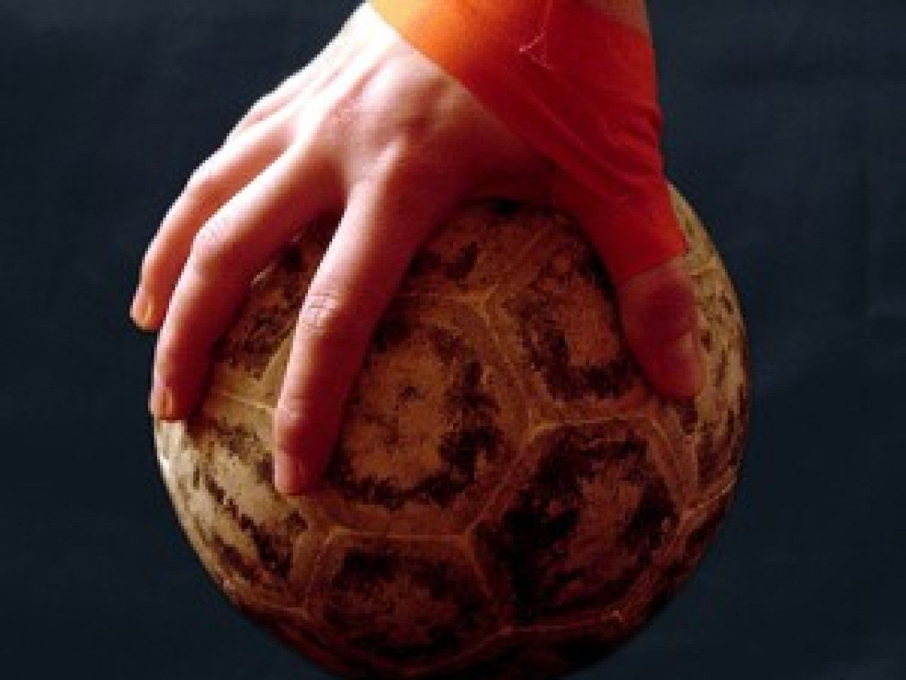 Handball, en division 2, Villeurbanne joue &agrave; belfort