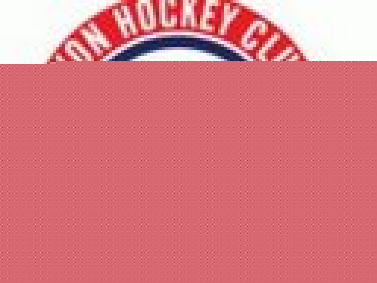 Hockey sur glace, les Lions veulent reprendre la place de leader 