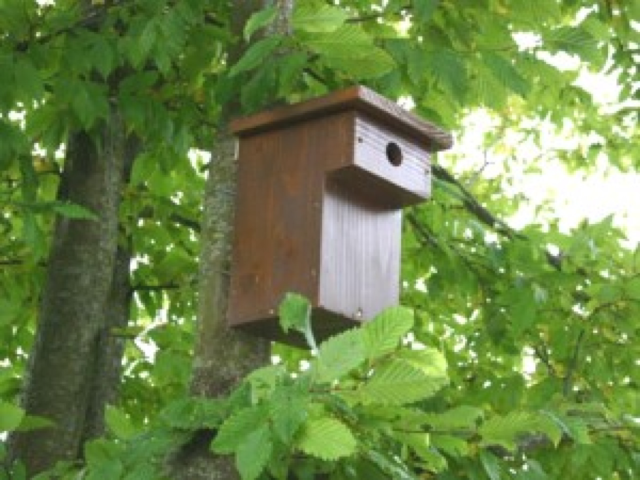 Interdiction de la chasse au gibier d&rsquo;eau et aux oiseaux de passage