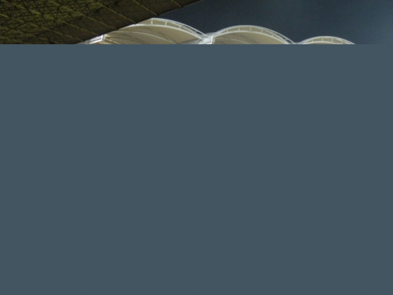 L&rsquo;OL en qu&ecirc;te de la bonne affaire