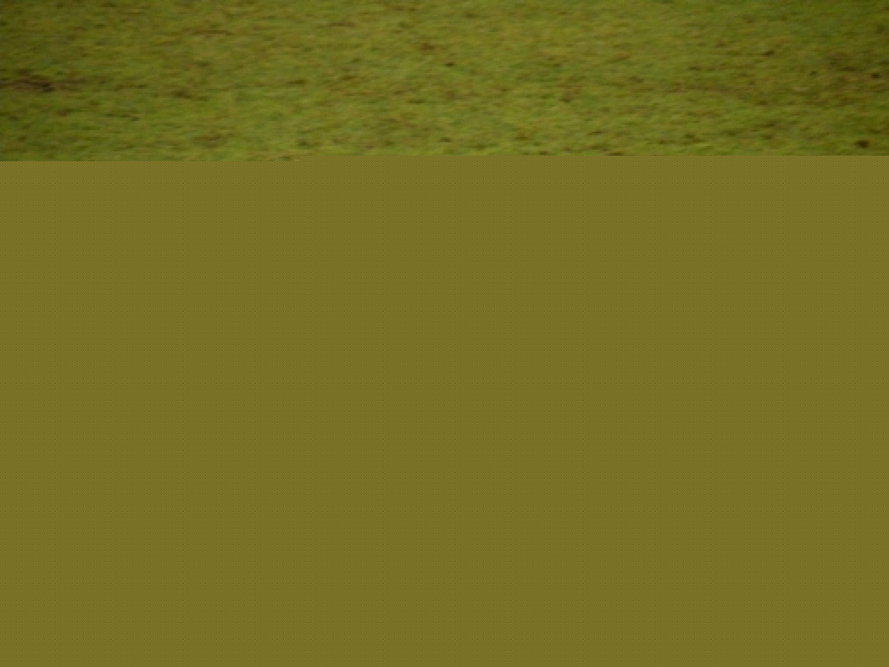 L&rsquo;OL reste sur le podium