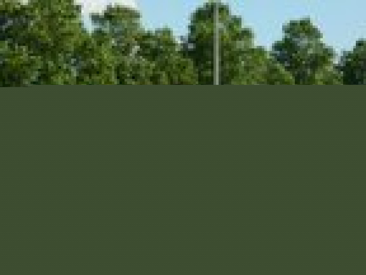 L'Olympique Lyonnais s'incline en Roumanie L'Olympique Lyonnais s'incline en Roumanie