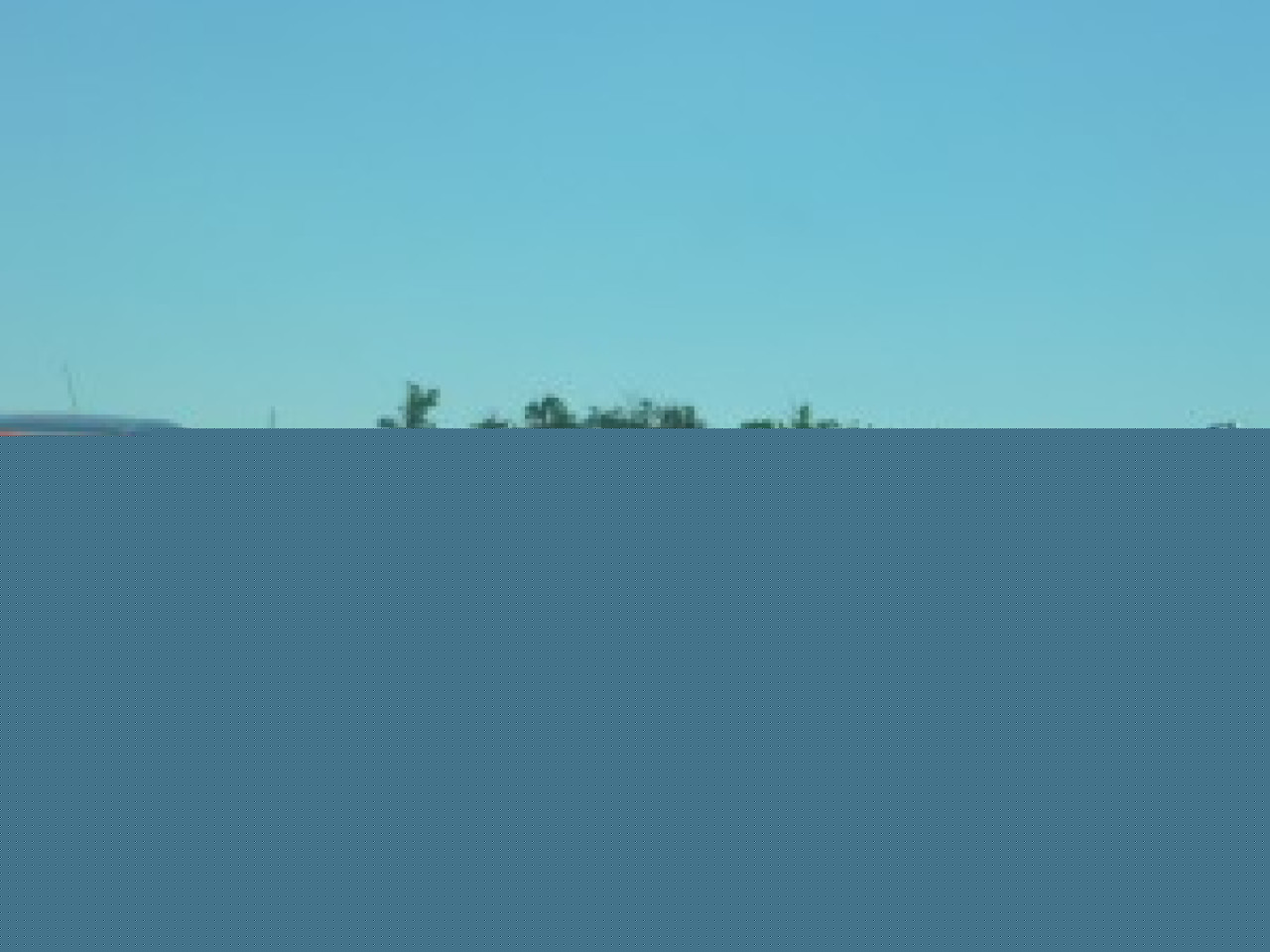 L'association Carton Rouge manifeste mardi L'association Carton Rouge manifeste mardi