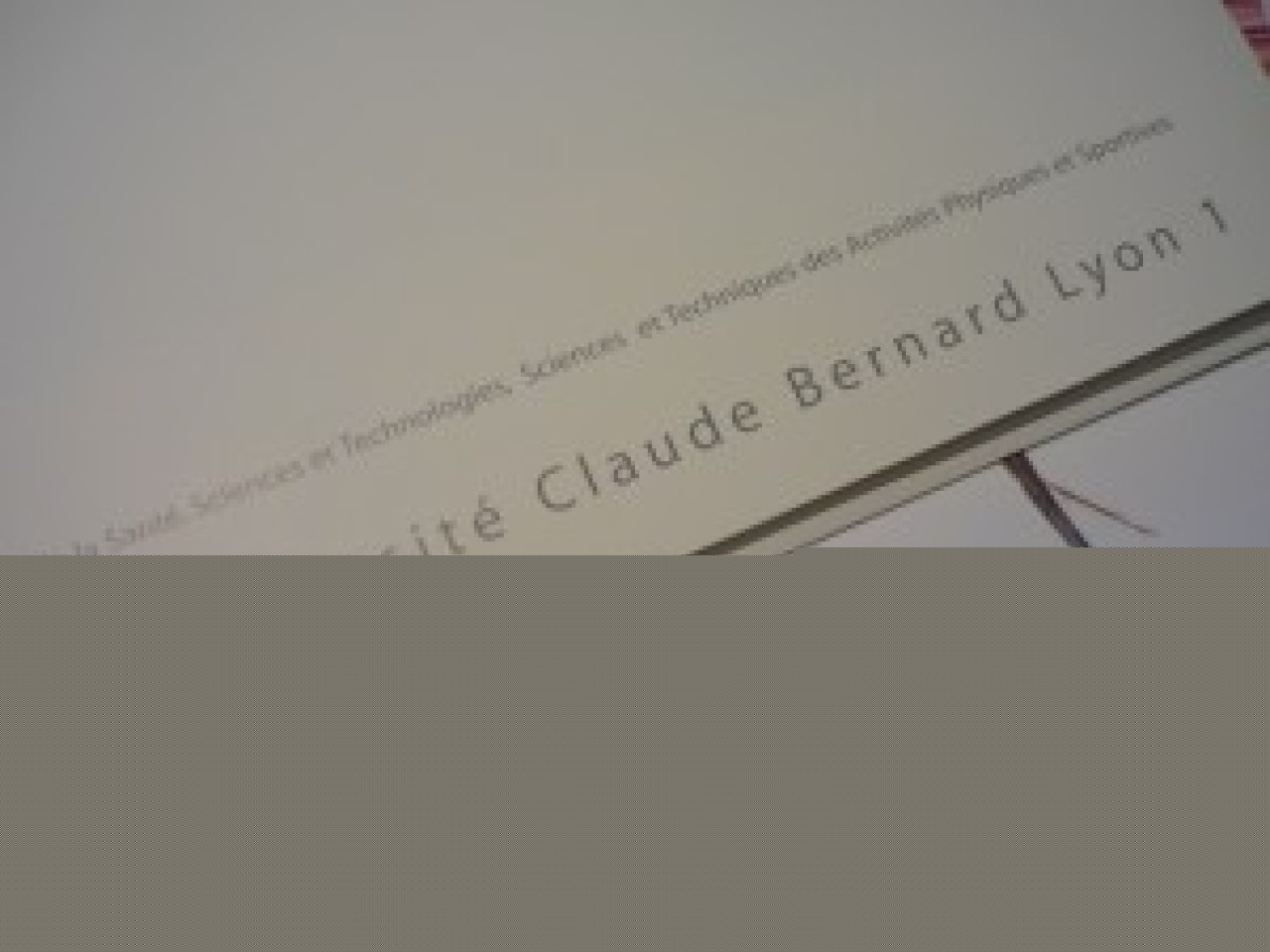 L&rsquo;universit&eacute; Lyon I fait un geste pour Ha&iuml;ti