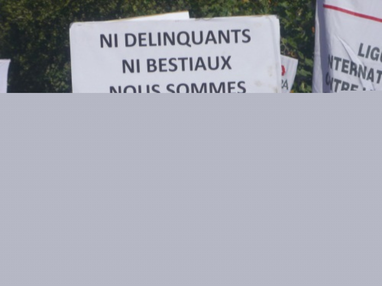 La 8e édition de la Marche des Parapluies La 8e édition de la Marche des Parapluies