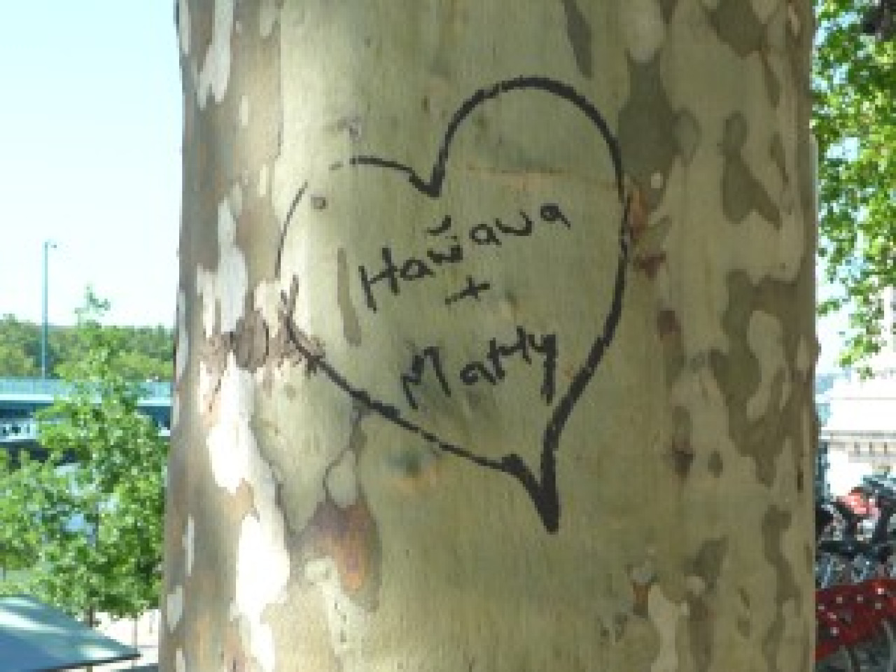 La Ville de Lyon renouvelle son op&eacute;ration sp&eacute;ciale Saint-Valentin