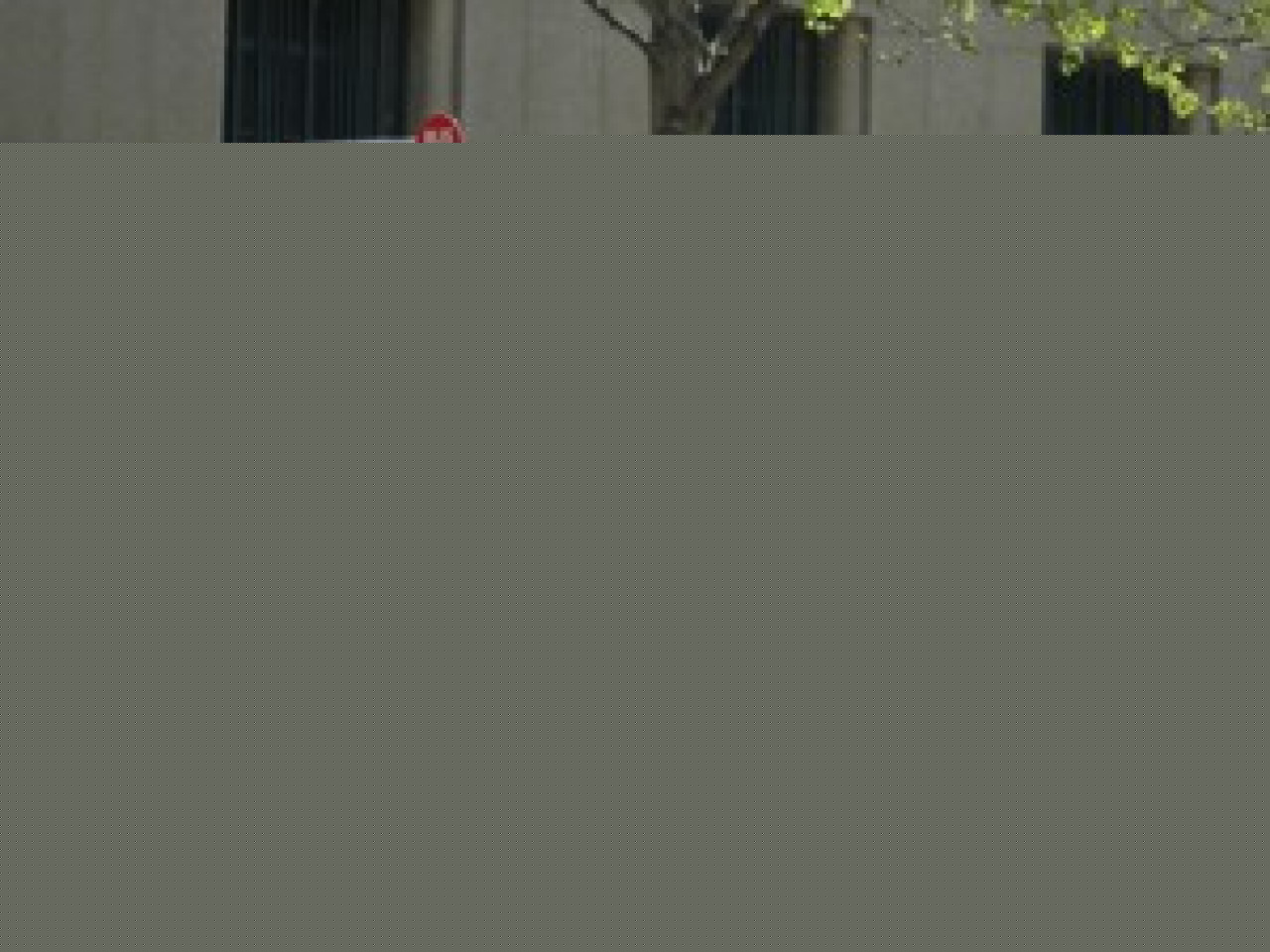 La ligne de bus 91 est limitée La ligne de bus 91 est limitée