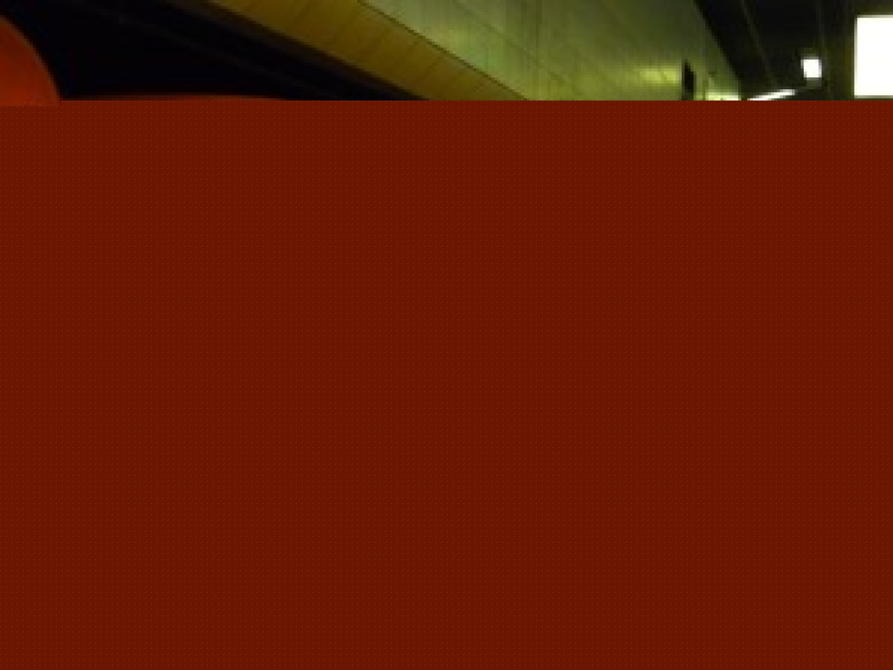 La ligne de m&eacute;tro D interrompue pendant 40 minutes mardi matin