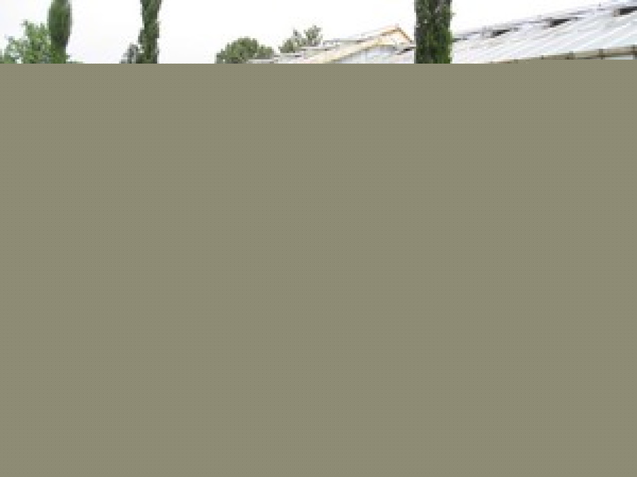 La maison des fleurs de Gerland a ouvert ses portes La maison des fleurs de Gerland a ouvert ses portes