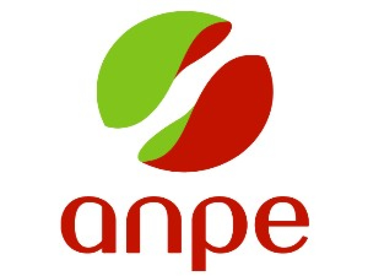 La mission locale d&rsquo;insertion des jeunes rend son bilan 2007 