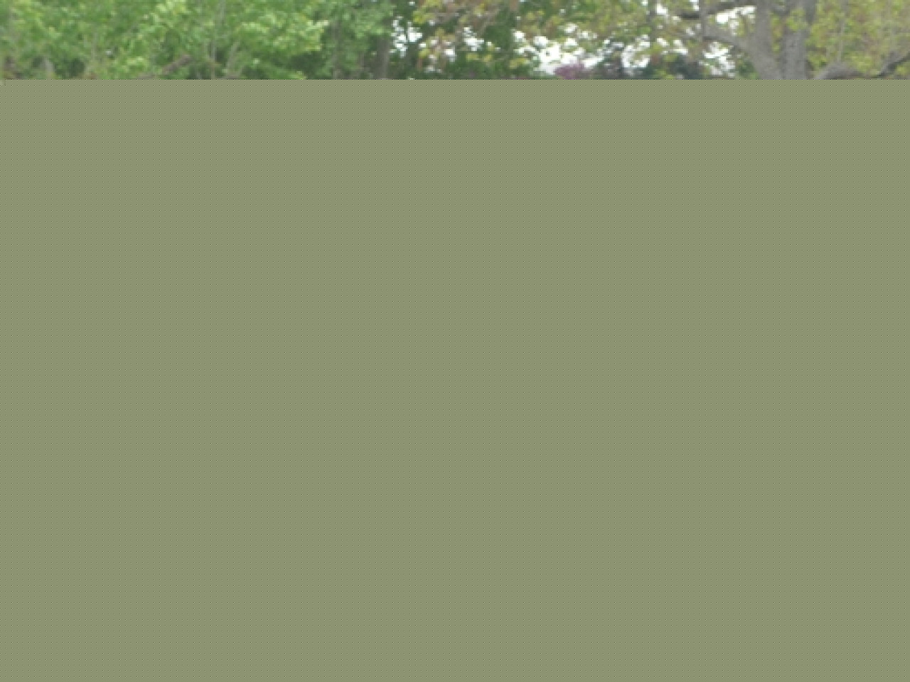 Le cheval dans tous ses &eacute;tats &agrave; Eurexpo