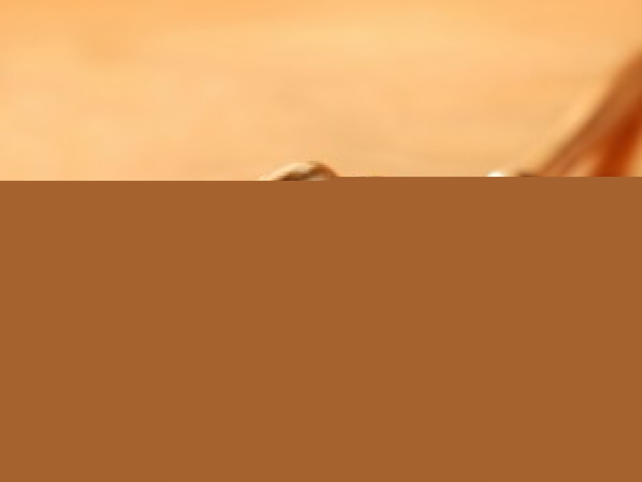 Le racisme dans les stades de foot devant la justice