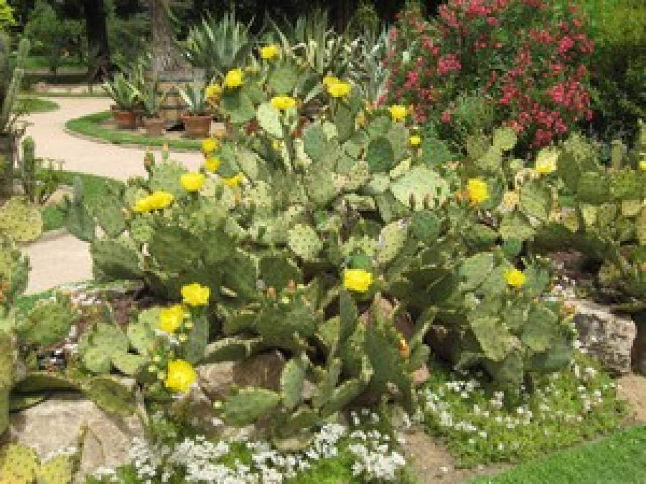 Le troph&eacute;e du fleurissement pour Irigny