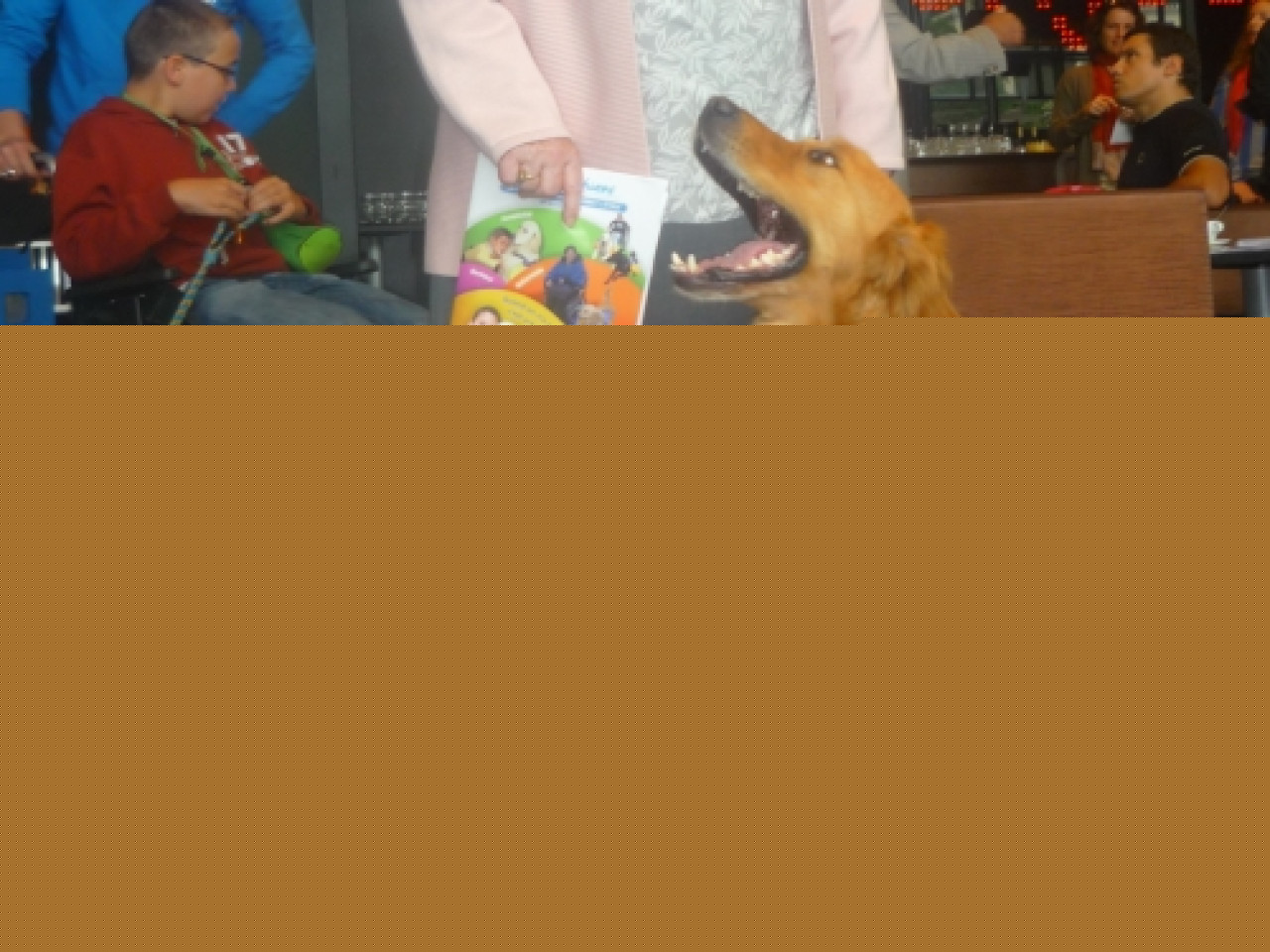 Les chiens guides d'aveugles en démonstration place Carnot Les chiens guides d'aveugles en démonstration place Carnot