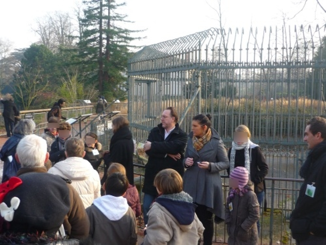 Les grands singes sont à l’honneur au Parc de la Tête d’Or