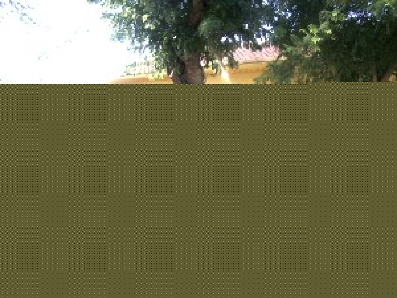 Les gymnases mis en place par la Ville de Lyon pour accueillir les enfants n&rsquo;ont pas fait le plein