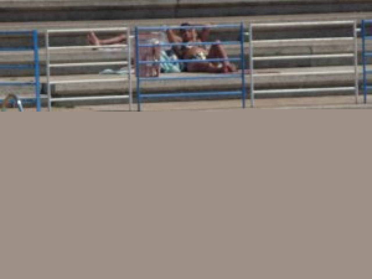 Les piscines de Villeurbanne font le plein