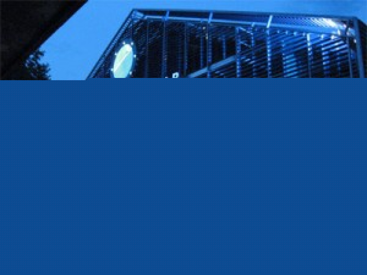 Les étudiants étrangers font la fête Les étudiants étrangers font la fête