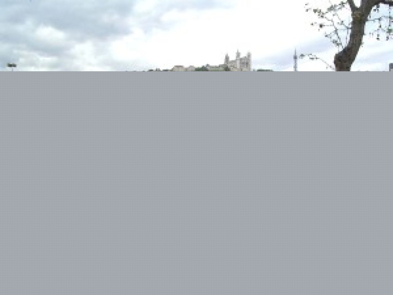 Lyon célèbre le monde sur la place Bellecour Lyon célèbre le monde sur la place Bellecour