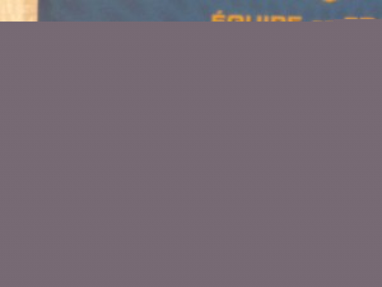 Mondial 2010 : 30 Bleus, 4 Lyonnais et des absents