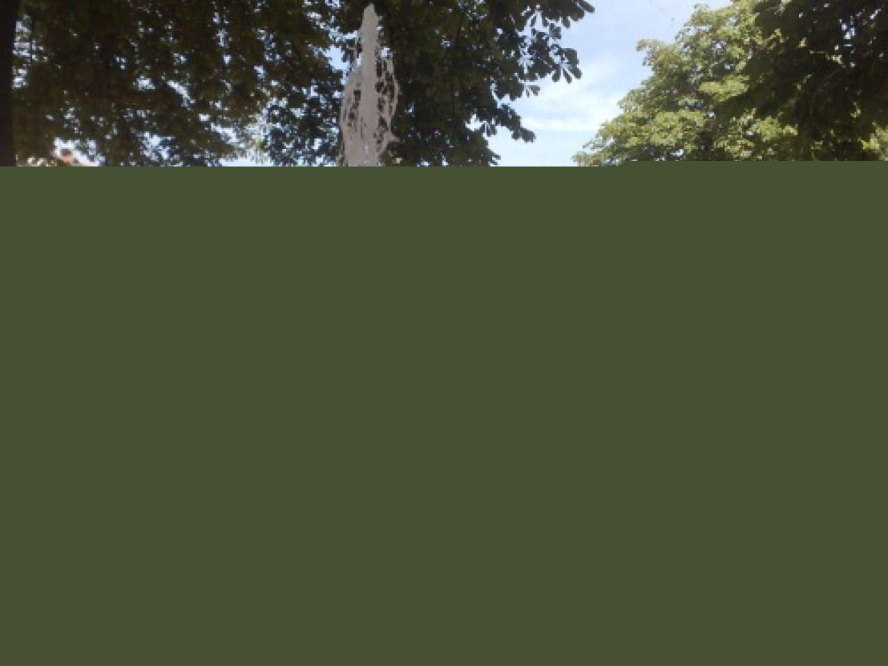 Pluie et fraicheur en juillet, toujours de la pluie mais de la chaleur en aout