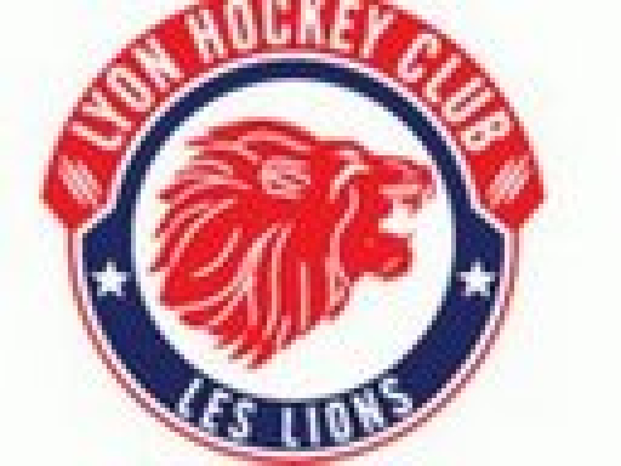 Retour &agrave; la comp&eacute;tition pour les Lions ce soir avec un d&eacute;placement &agrave; Toulouse Blagnac en division 2