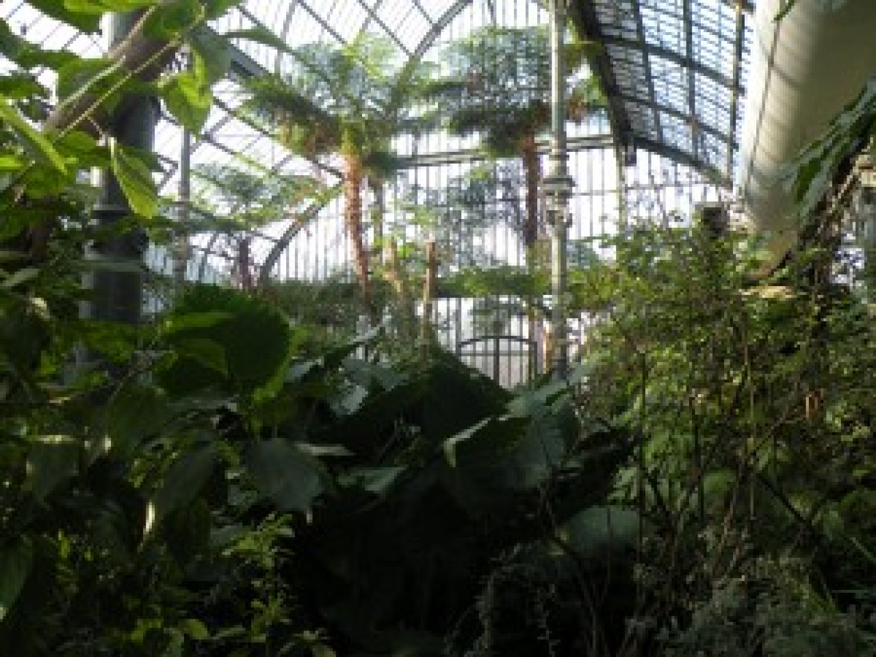 Un Center Parcs bientôt près de Lyon Un Center Parcs bientôt près de Lyon