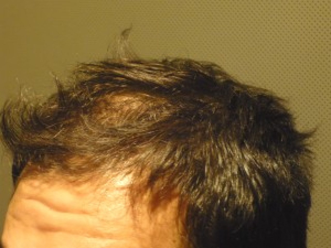 Un Lyonnais au Mondial de coiffure à Paris Un Lyonnais au Mondial de coiffure à Paris