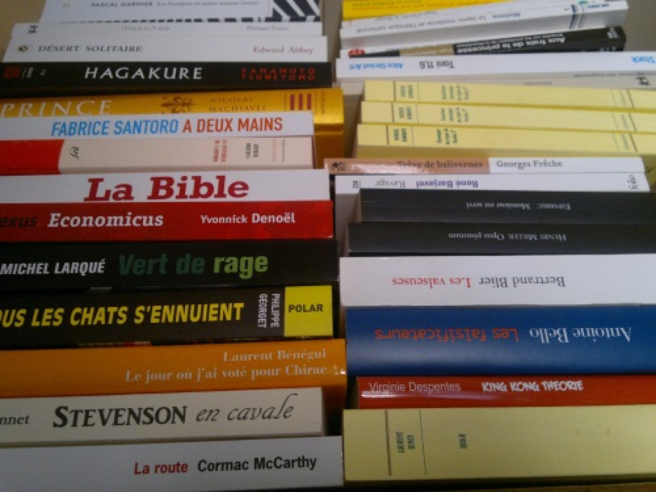 Deux Lyonnais dans le dernier carr&eacute; du Prix Goncourt