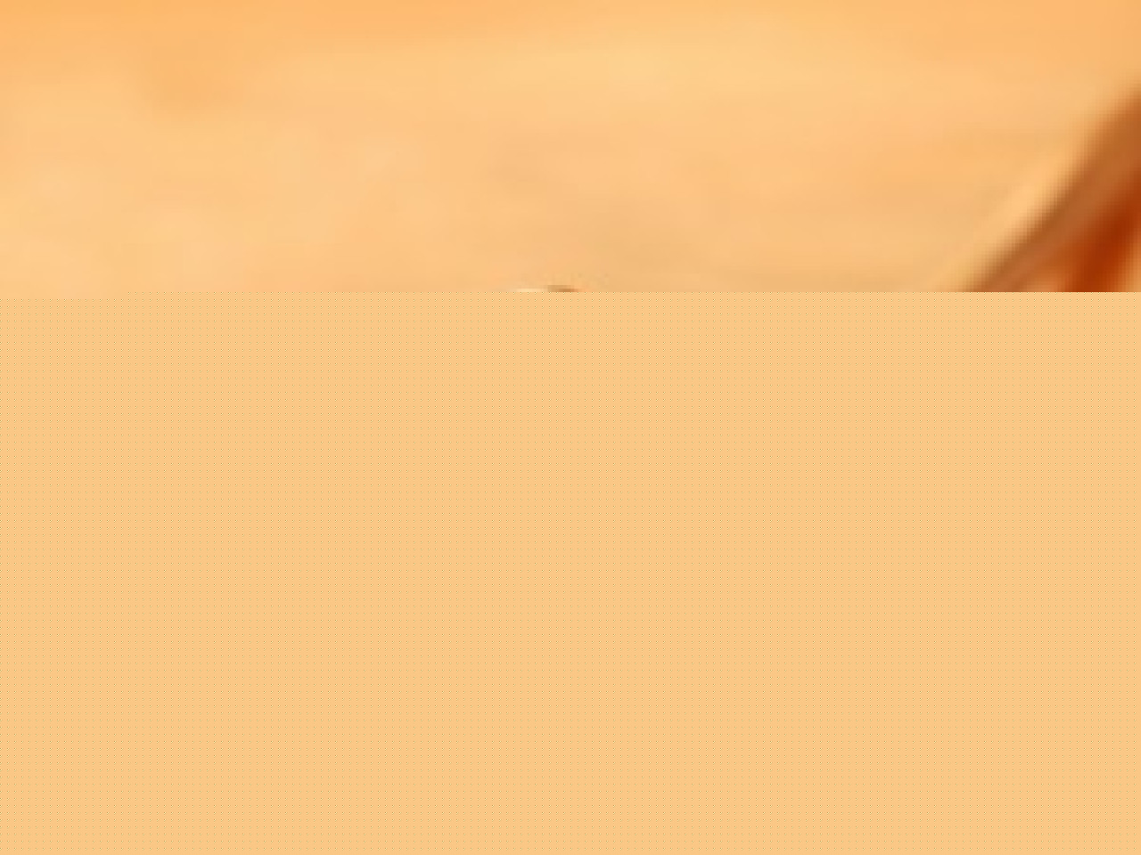 Un an de prison pour un jet d’extincteur vers des vigiles Un an de prison pour un jet d’extincteur vers des vigiles