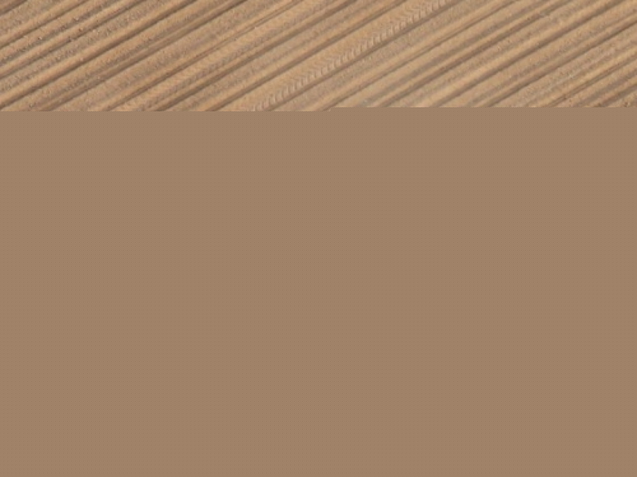 Un million d’euros pour les 2000 éleveurs du Rhône