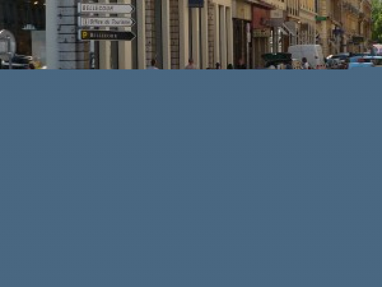 Un mouvement social dans les rangs de la police municipale lyonnaise Un mouvement social dans les rangs de la police municipale lyonnaise