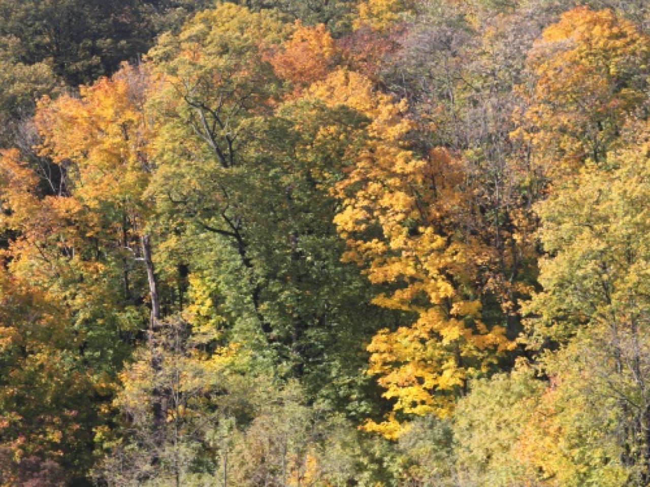 Un septième parc naturel en Rhône Alpes Un septième parc naturel en Rhône Alpes