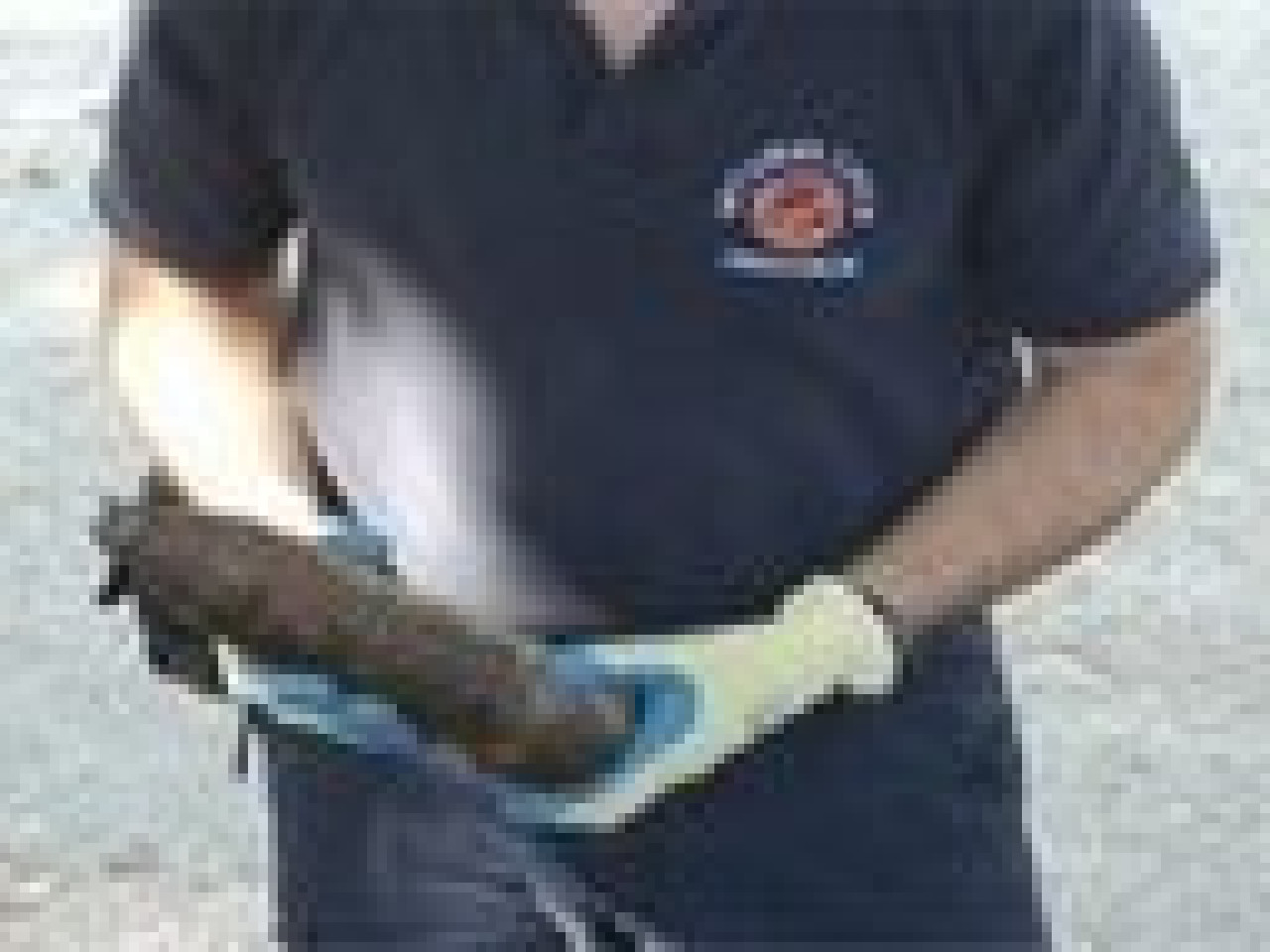 Une cinquantaine d'obus découverts hier soir dans la Loire Une cinquantaine d'obus découverts hier soir dans la Loire