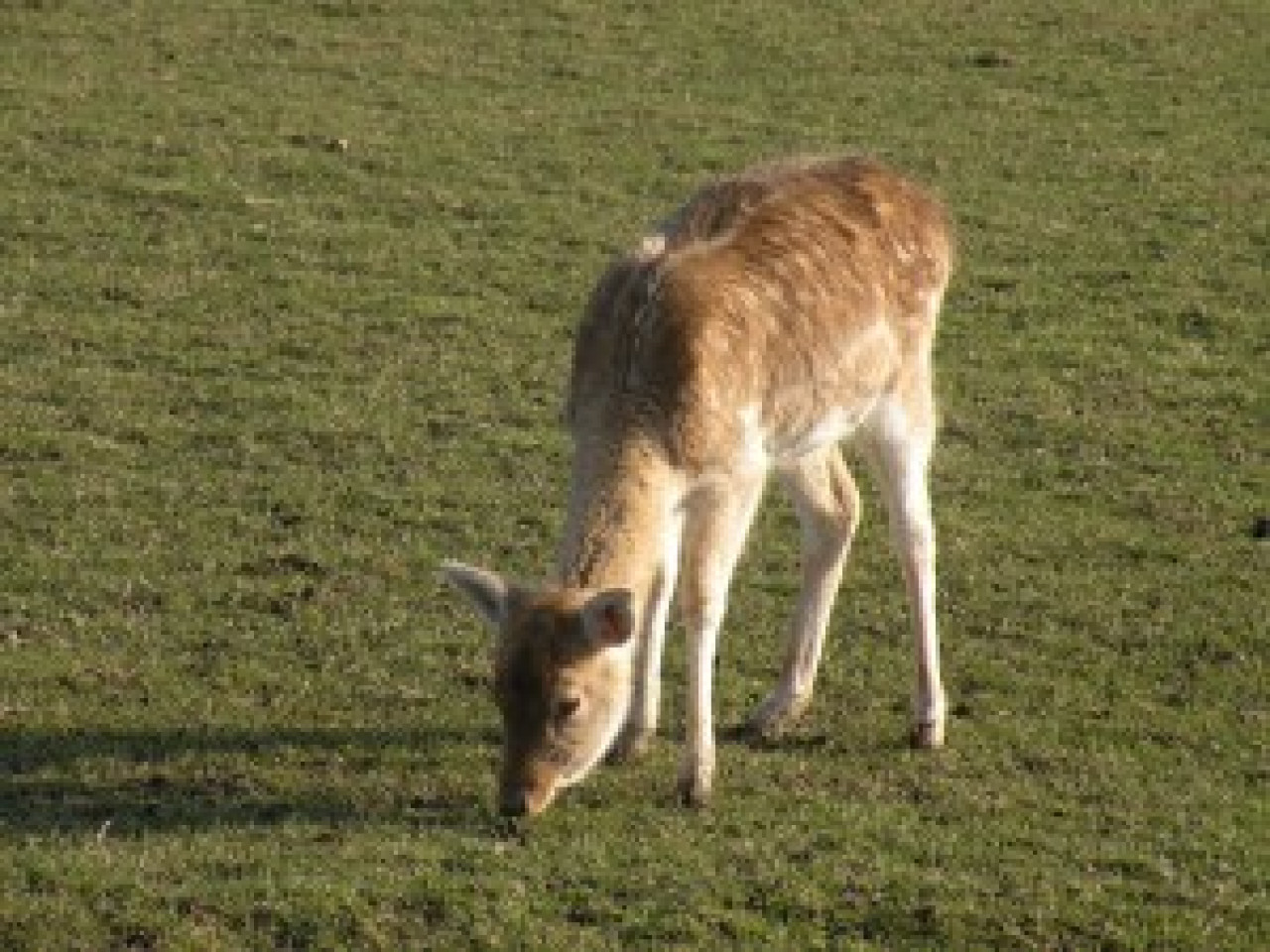Une découverte surprenante dimanche matin dans les forêts de Haute-Azergues Une découverte surprenante dimanche matin dans les forêts de Haute-Azergues