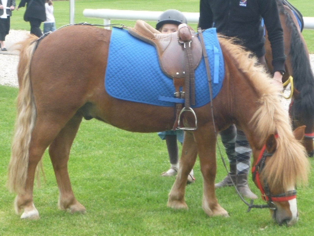 Une drôle de surprise pour un habitant de Dardilly Une drôle de surprise pour un habitant de Dardilly