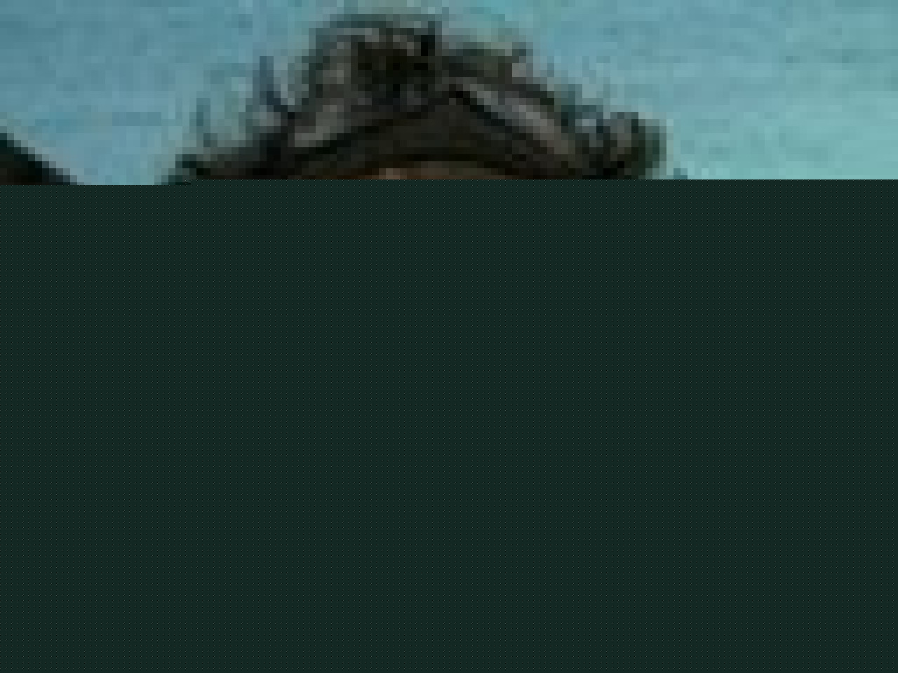 Une nouvelle distinction pour Jonathan Coeffic