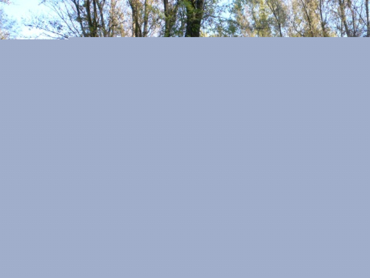 Végétation en fête au parc de la Feyssine