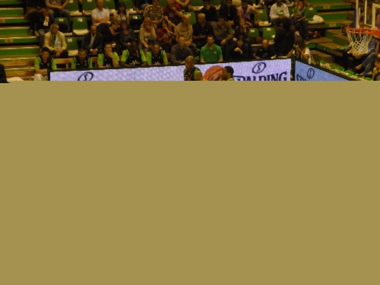 L’ASVEL accueille Le Havre L’ASVEL accueille Le Havre