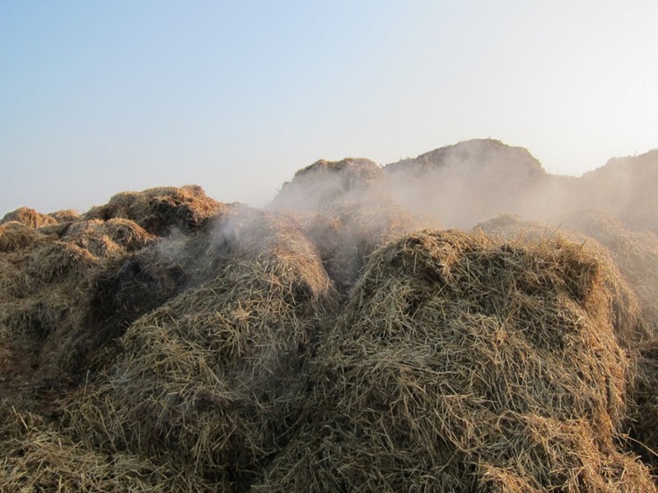 Prison ferme pour avoir déversé du fumier devant le domicile d'un huissier Prison ferme pour avoir déversé du fumier devant le domicile d'un huissier