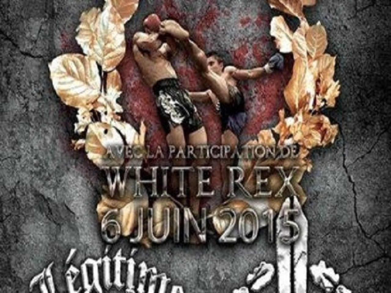 Des free-fighters n&eacute;o-nazis en r&eacute;gion lyonnaise pour un tournoi ?