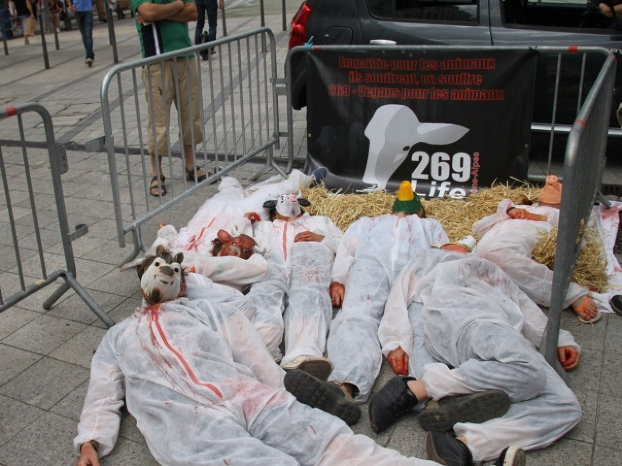 Lyon : un happening ce samedi contre l&rsquo;exploitation animale