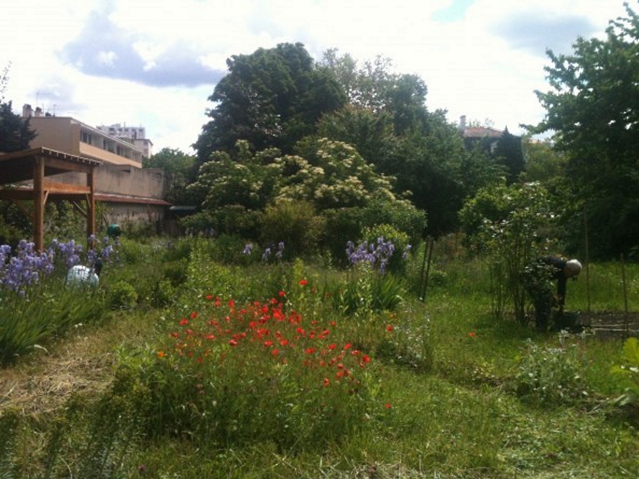 Lyon dans le top des villes vertes aux jardins partagés Lyon dans le top des villes vertes aux jardins partagés
