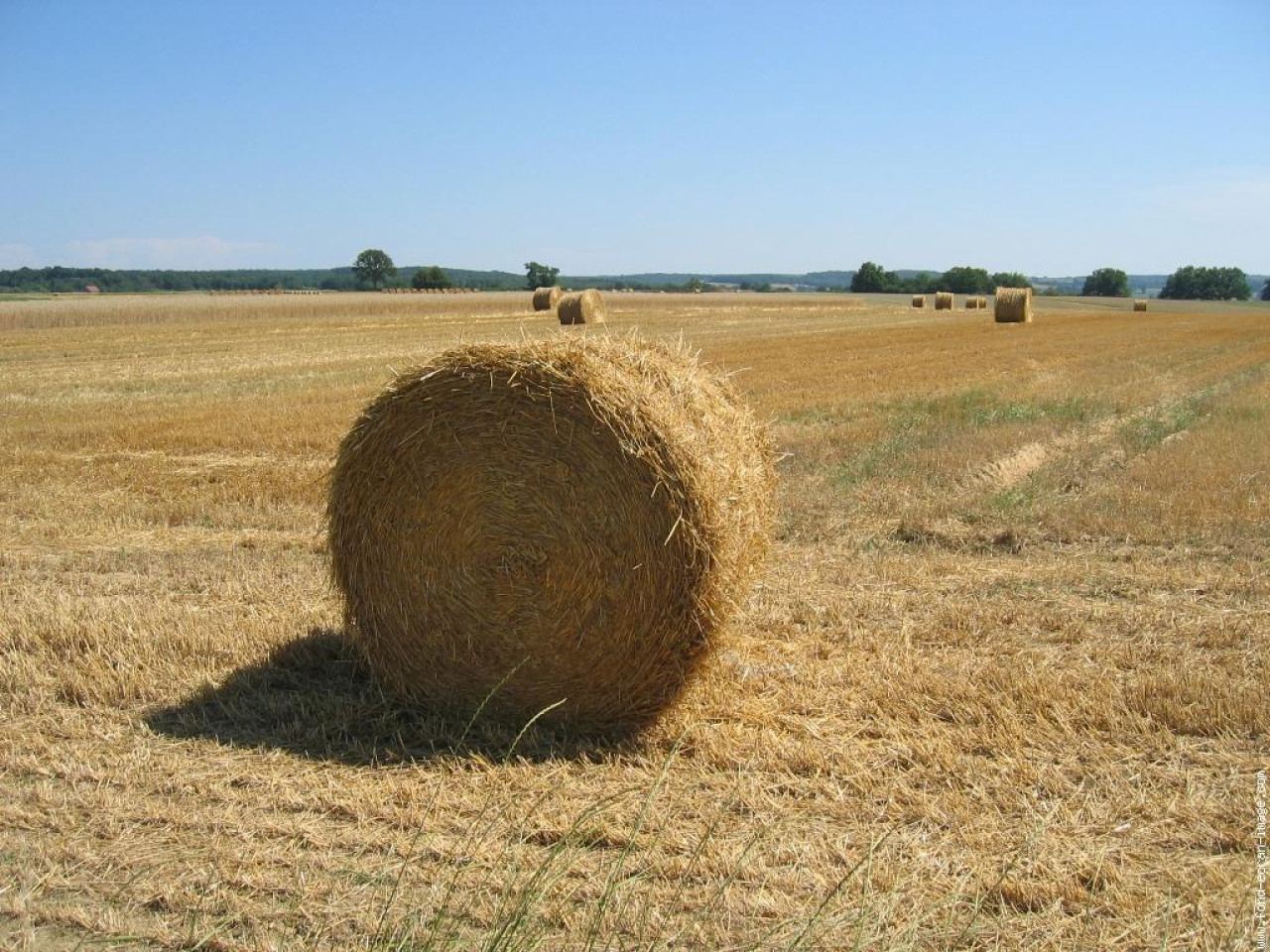 Fillette tuée par une meule de foin dans le Rhône : les circonstances du drame se précisent Fillette tuée par une meule de foin dans le Rhône : les circonstances du drame se précisent